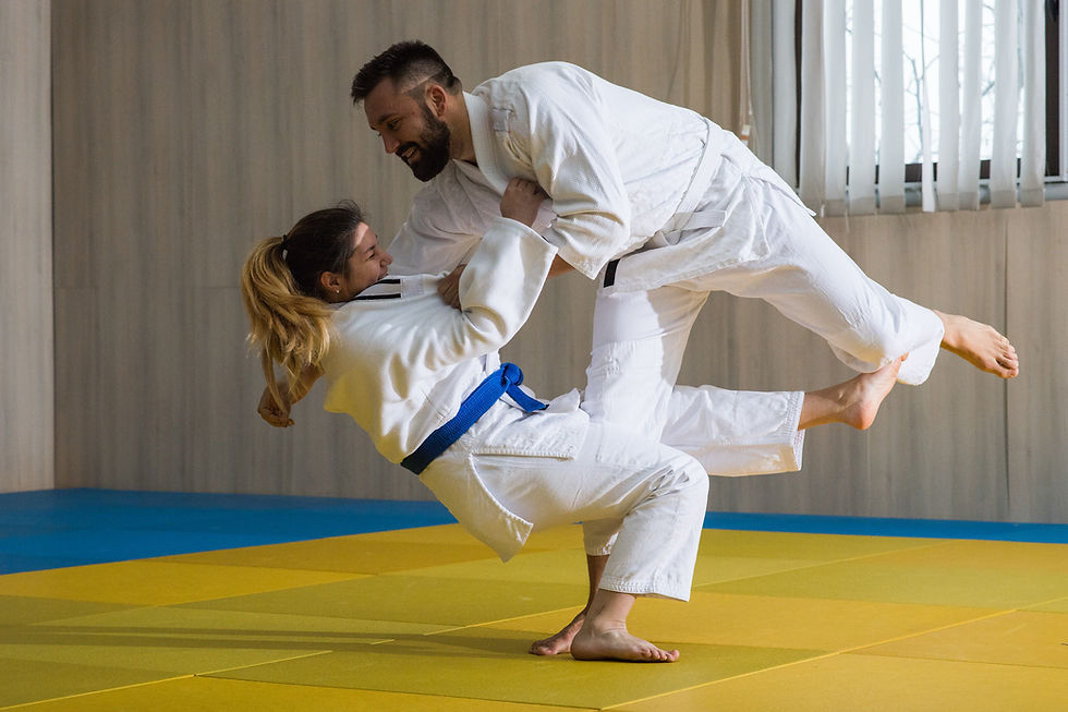 Judo Training Session