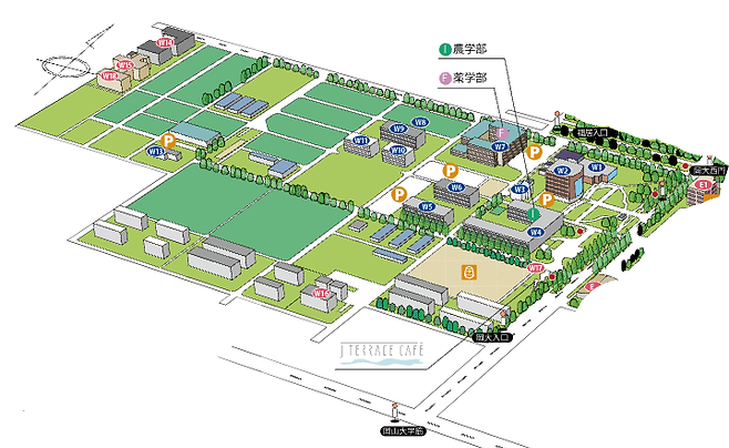 津島キャンパス西.png