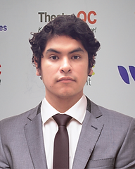 Manuel Silva - WorkQC+