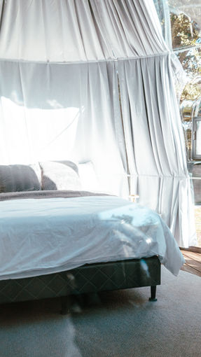 Cama Queen en domo transparente con ropa de cama premium, mesas de noche y vista completa al bosque privado en AMANI Costa Rica