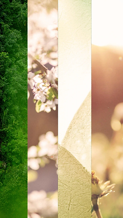 Untitled design (1).png