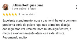 imagem de comentários avaliativos sobre a doutora 