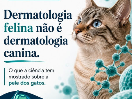 Dermatologia felina não é dermatologia canina: o que a ciência tem mostrado sobre a pele dos gatos