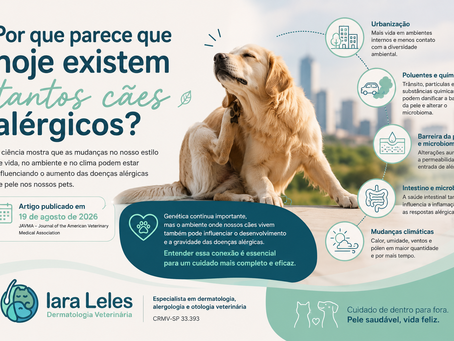 “Eu sempre tive cachorro. Por que parece que agora todos são alérgicos?”