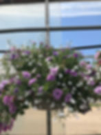 12" Hanging Combination Basket