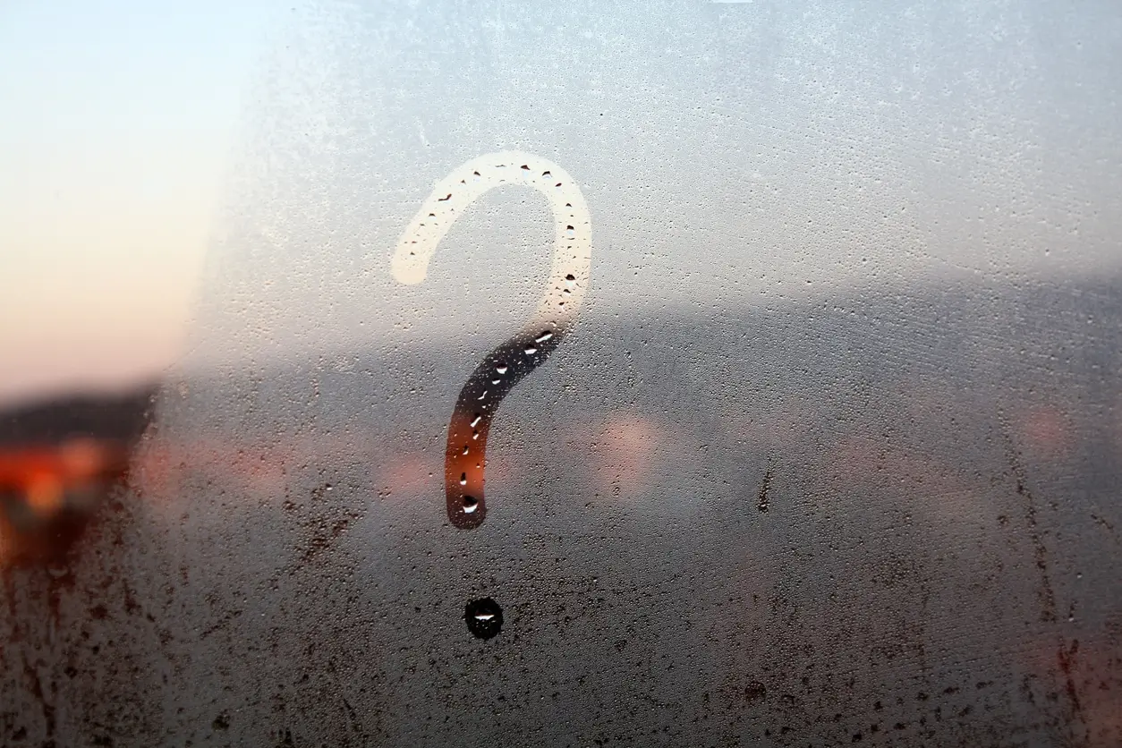 condensation on outside of windows