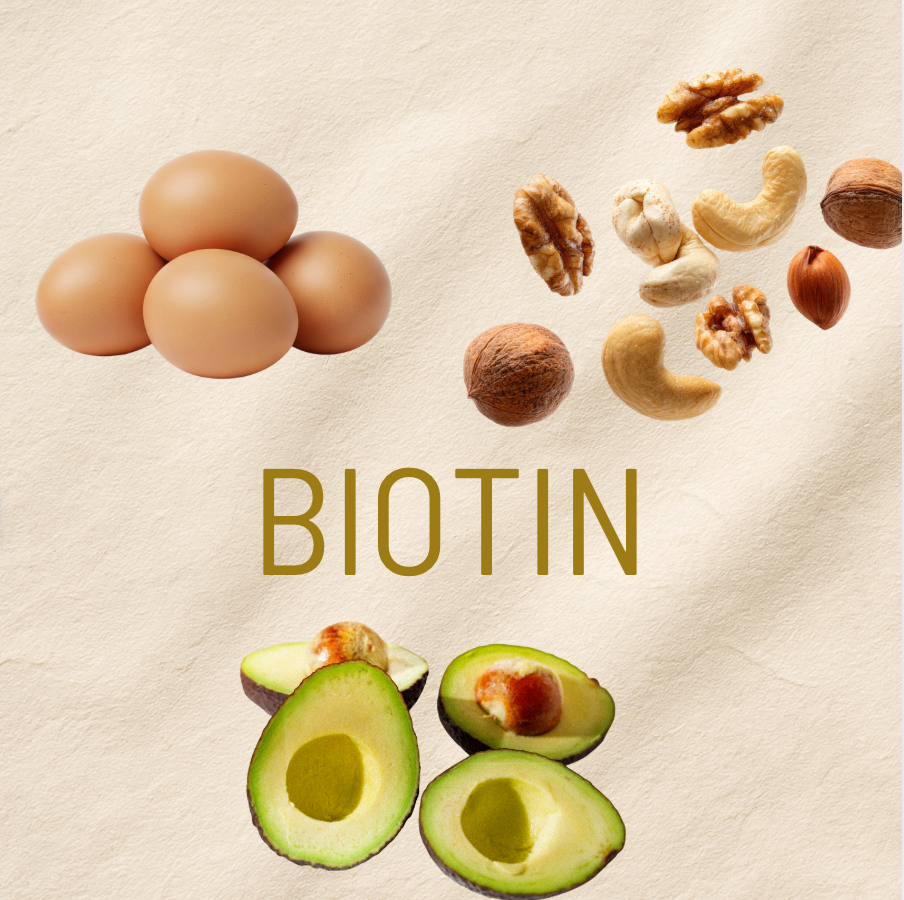 Bơ, trứng, các loại hạt là những thực phẩm chứa nhiều biotin