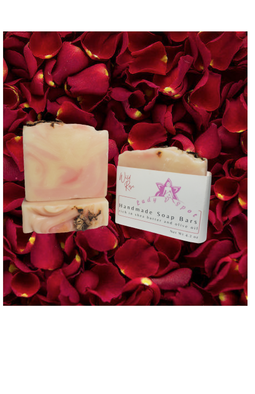 Thumbnail: Wild Rose