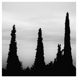Light trying to infiltrate and illuminate the dark land.
Silhouettes of cypress trees somewhere in Thessaloniki, Greece.
Minimal, high contrast, black and white landscape digital image.

© 2020 George Vlachos
