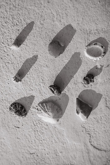 6120260305_césar_jaquidresen.jpg