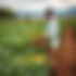 The Hidden Gap in Agribusiness: Why Opportunity Exists but Structure Does Not