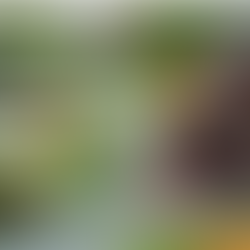 The Knowing Heart of Loss