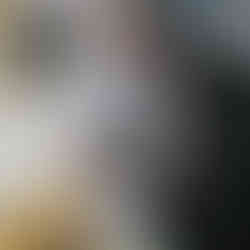 Franz Elsener, Metzgete im Guggital