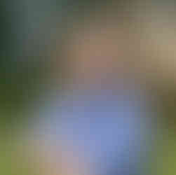 Lukas Bollmann, Hotel Restaurant Guggital Zug