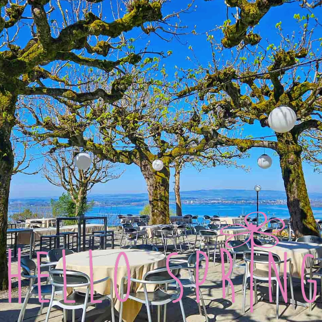 Hotel Restaurant Guggital in Zug