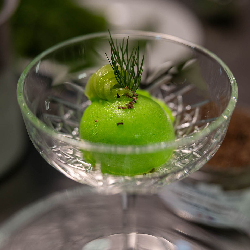 Gin-Tonic-Sorbet – mit Valle Maggia Pfeffer & Gurke – eine kleine Atempause für den Gaumen