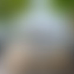 Guggital Sommergarten mit Zugerseeblick