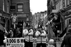 DSC_0126c