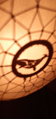 Baleine10.jpg