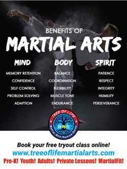 Why Taekwon-Do?