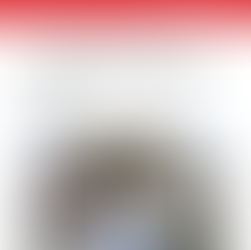 ALCCA Chair Urges Appointment of Antisemitism Special Envoy in The Globe and Mail