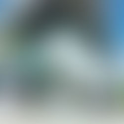 The Concordia Litigation: Legal Action Against Campus Disruptions