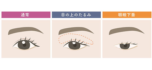 image0 (43).jpeg