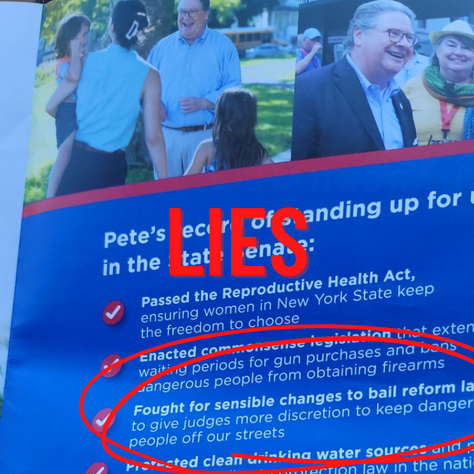 STATE SENATE CANDIDATE GINA ARENA BLASTS PETER HARCKHAM’S LIES ON CAMPAIGN MAILER