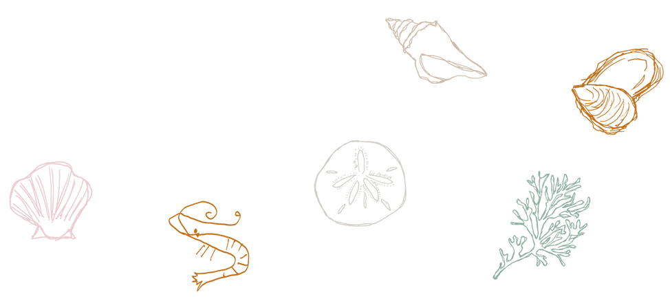 reply-loop-frame-0030-a6_65be8cd777d439_20190714.png
