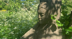 Proefles zenmeditatie