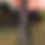 Thumbnail: Dog Leash
