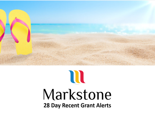 28 Day Grant Alerts Update December 2020