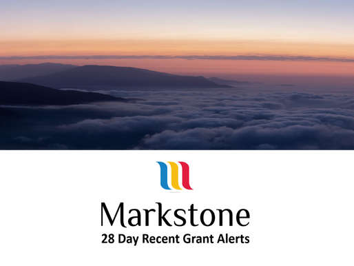 28 Day Grant Alert Update February 2021