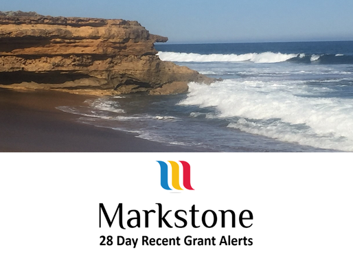 28 Day Grant Alert Update March 2021