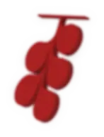 rewards aragvi-07.webp