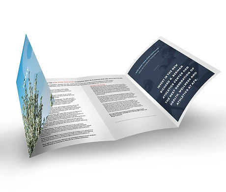 the-fund-brochure-inside.jpg