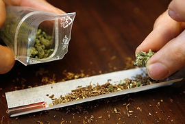 Illegal Marijuana
