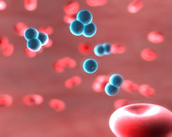 OZONE IMPROVES THE BLOOD.jpg