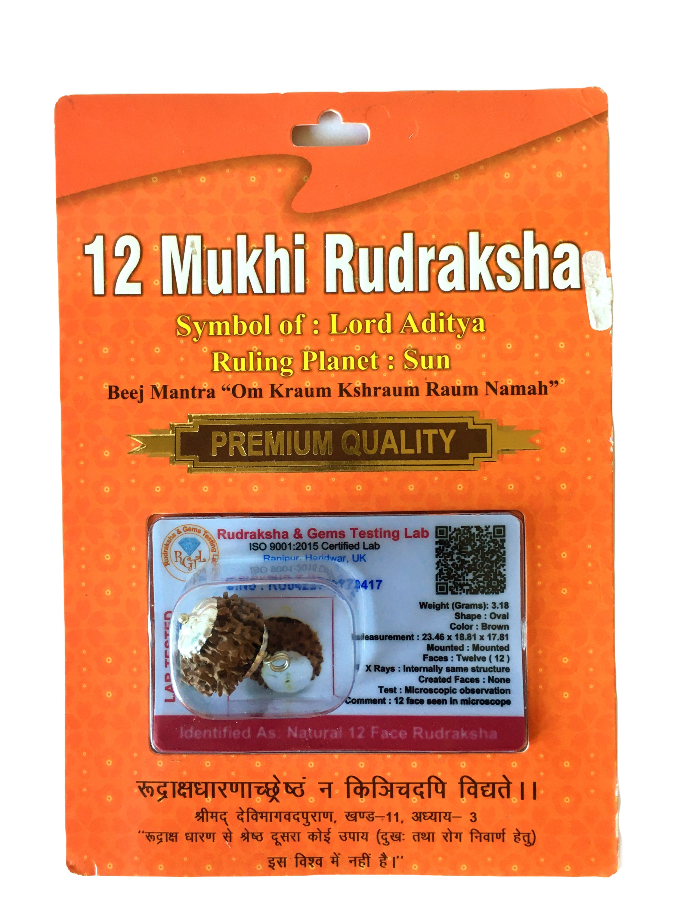 Подвеска с 12-ликой рудракшей с сертификатом