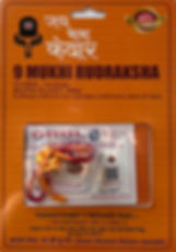 Кулон с 9-ликой рудракшей с сертификатом (малая)