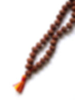 Рудракша мала 7-ликая крупная (Непал)