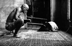 Man & Pig