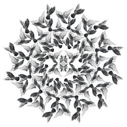 FRACTAL PORTRAITS - Pigeons, White