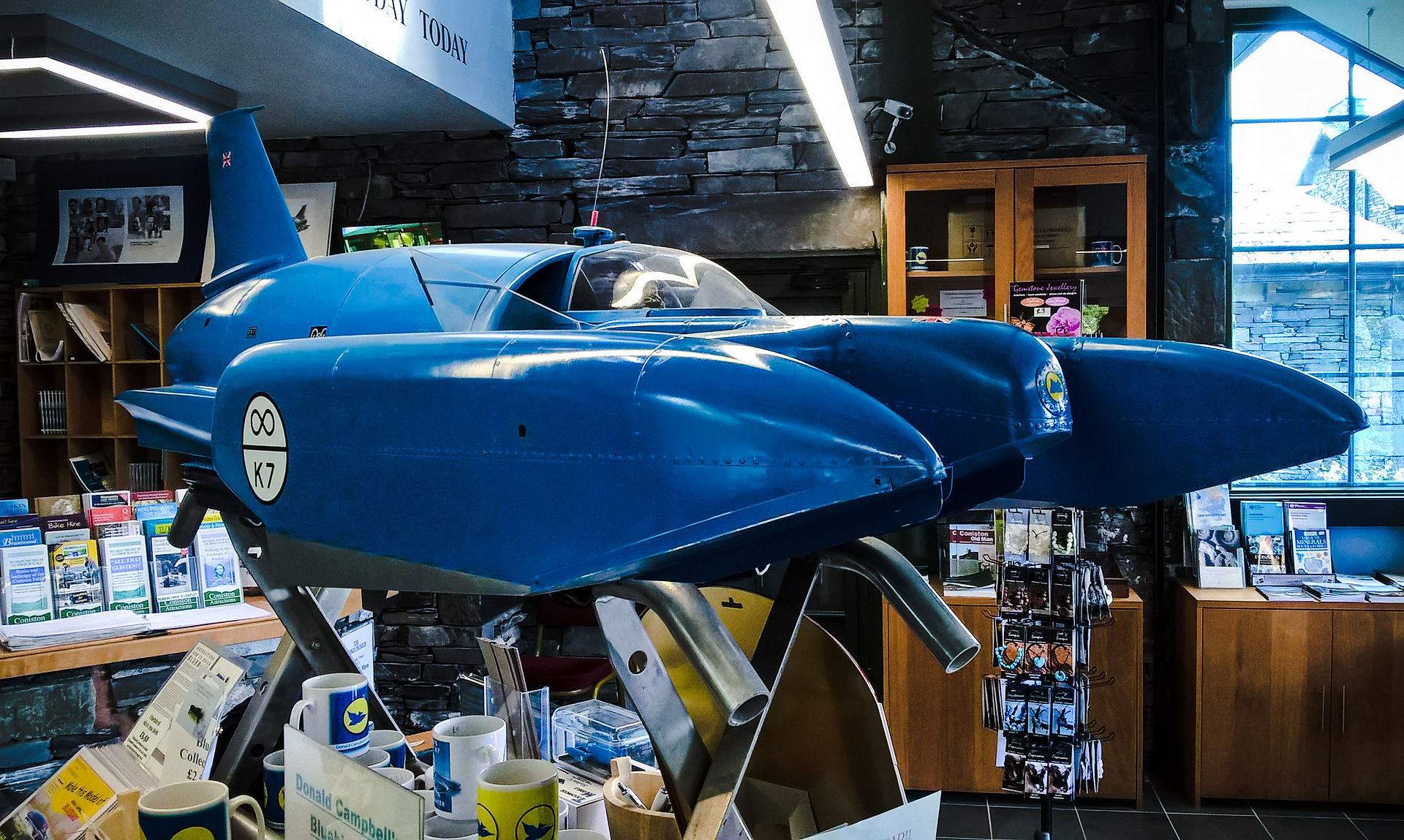Campbell's Bluebird
