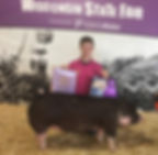 Open Reserve Supreme Gilt 2018