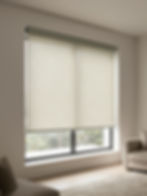 Transluscent Roller Blind