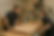 ChatGPT Image May 10, 2025, 02_09_00 AM.png