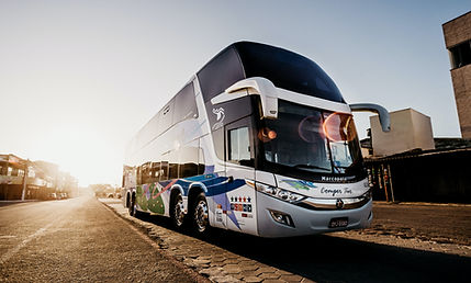 Transfers and car rental