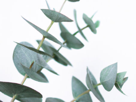 Your gut in perimenopause — why everything feels different all of a sudden