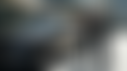 M&T Adjusters Services: Your Trusted Partner in Insurance Claims